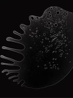 Beauty 111SKIN Exfolactic Cleanser Reiniger Mit Peeling-Effekt -Modekollektions geschäft 18079908 39310519 1000