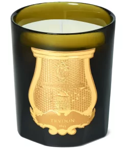 Beauty TRUDON Salta Kerze 270g