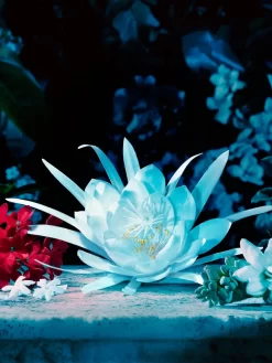 Beauty Gucci Beauty Bloom Intense Eau De Parfum -Modekollektions geschäft 19741966 44487294 1000